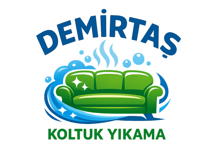 cropped-Demirtas-Koltuk-Yikama-Bursa-Profesyonel-Koltuk-Temizleme.png