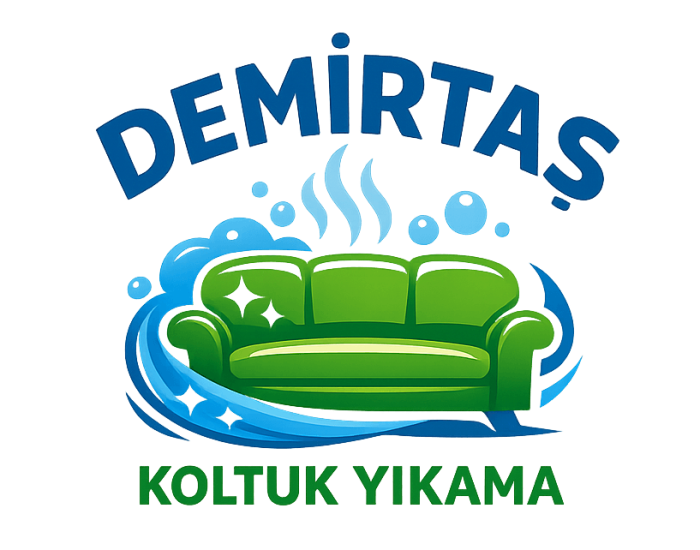 cropped-Demirtas-Koltuk-Yikama-Bursa-Profesyonel-Koltuk-Temizleme.png